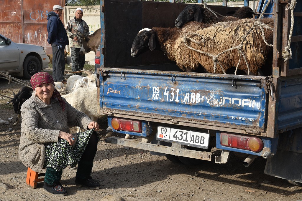Kyrgyzstán - nedělní dobytčí trh, Karakol 